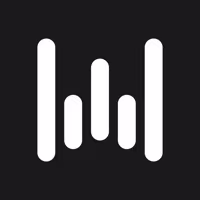 Wispr Flow icon